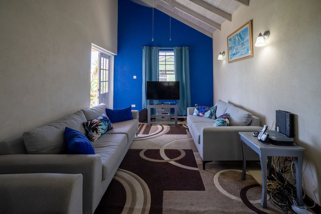 Living room with blue feature wall and sofas at Providence Terrace