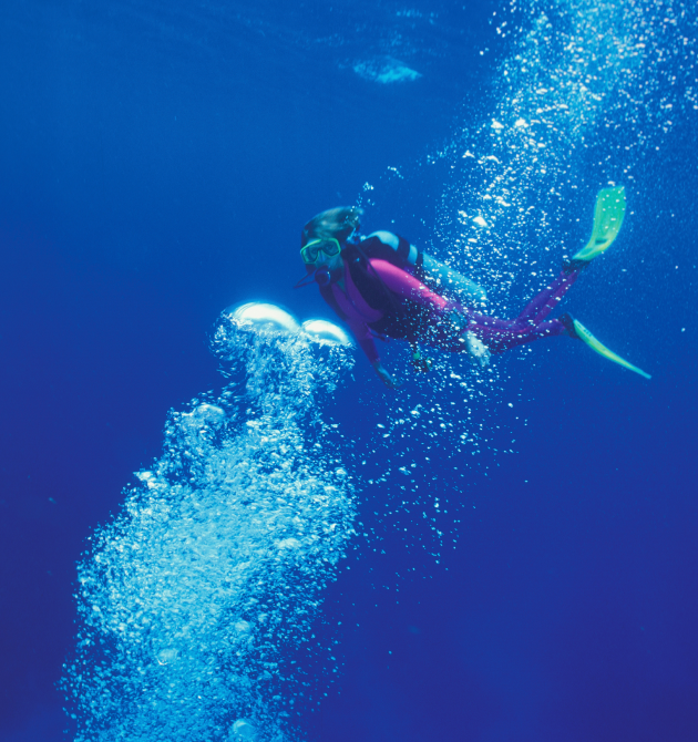 Scuba Diving & Snorkeling